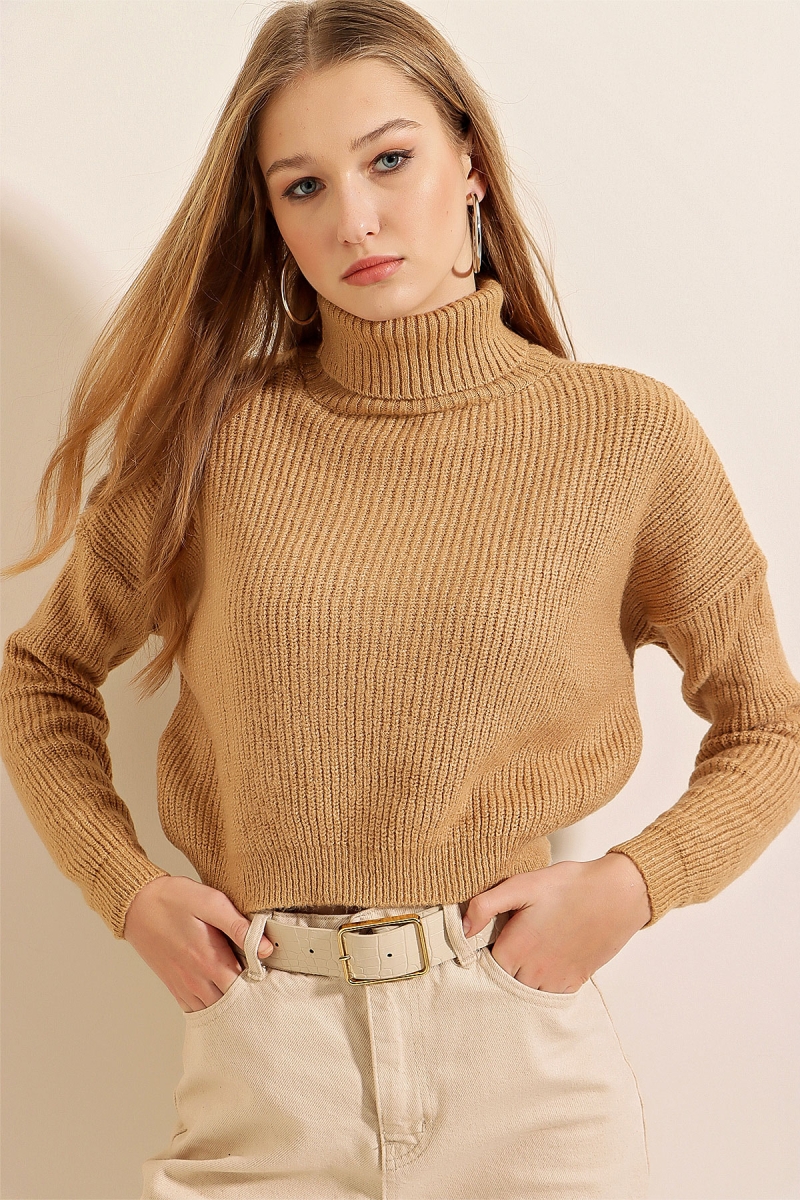 15771 Crop Boğazlı Kazak - Vizon - BİGDART